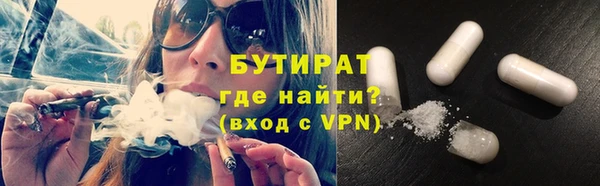 сатива Коряжма