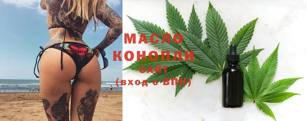 гидра Корсаков
