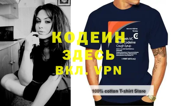 гидра Корсаков