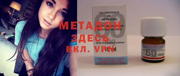 сатива Коряжма