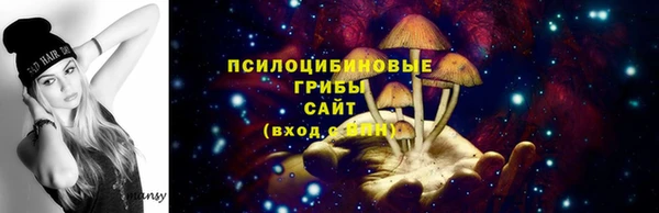 сатива Коряжма