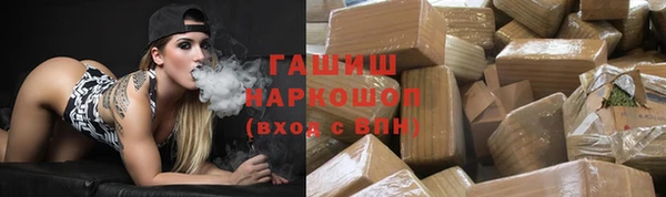 сатива Коряжма