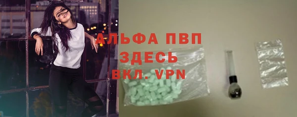 гидра Корсаков
