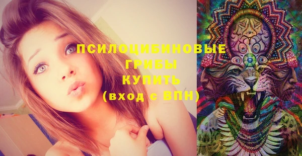 сатива Коряжма