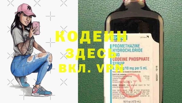 сатива Коряжма