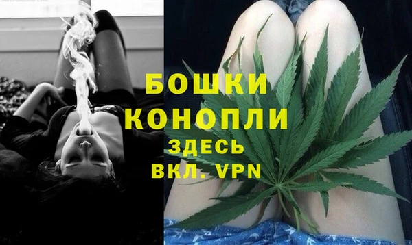 сатива Коряжма