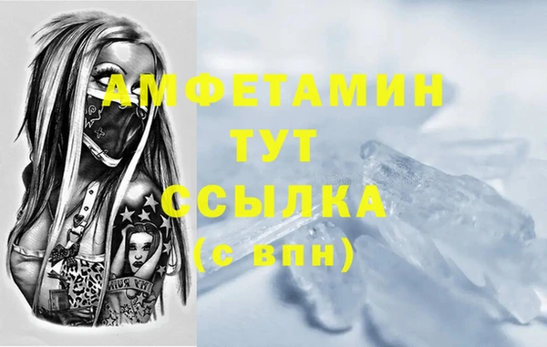 сатива Коряжма