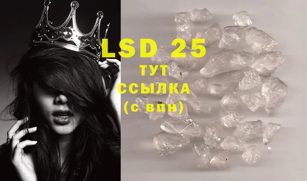 сатива Коряжма